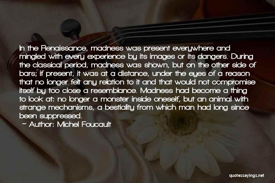 Renaissance Period Quotes By Michel Foucault