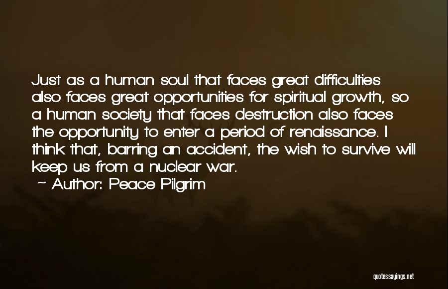 Renaissance Period Quotes By Peace Pilgrim