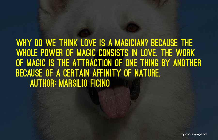 Renaissance Philosophy Quotes By Marsilio Ficino