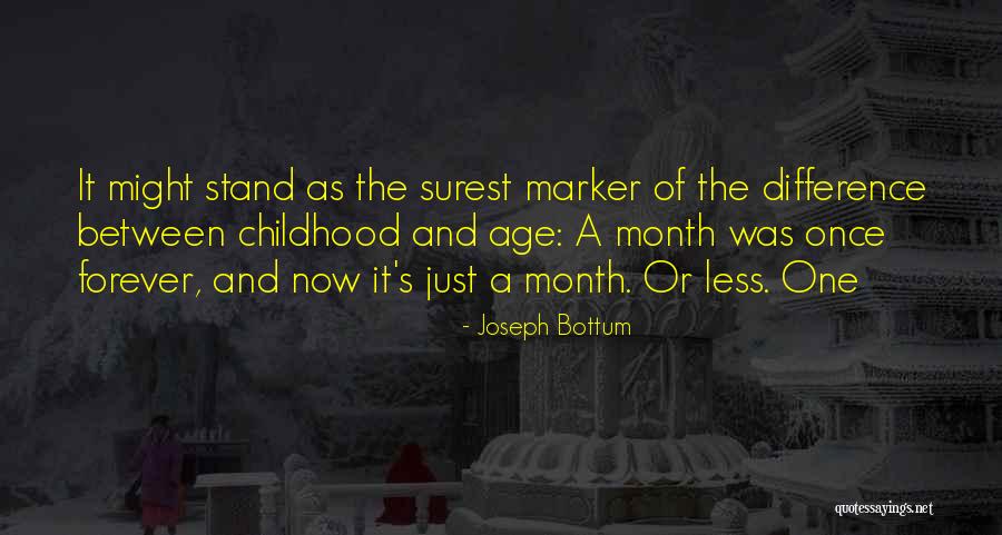 Renamarie Rocha Quotes By Joseph Bottum Renamarie Rocha Quotes By Joseph Bottum