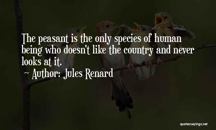 Renard Quotes By Jules Renard