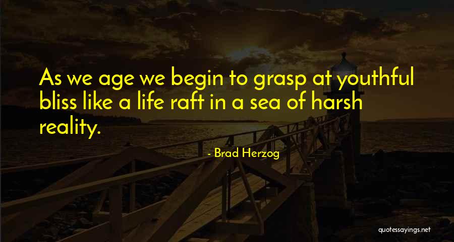 Rendas Para Quotes By Brad Herzog Rendas Para Quotes By Brad Herzog
