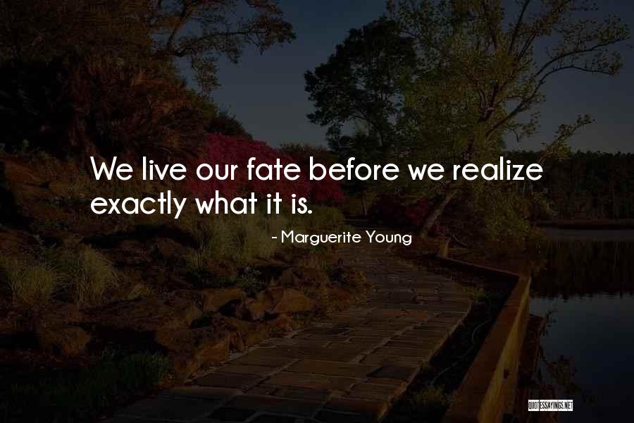 Rendina Healthcare Quotes By Marguerite Young Rendina Healthcare Quotes By Marguerite Young