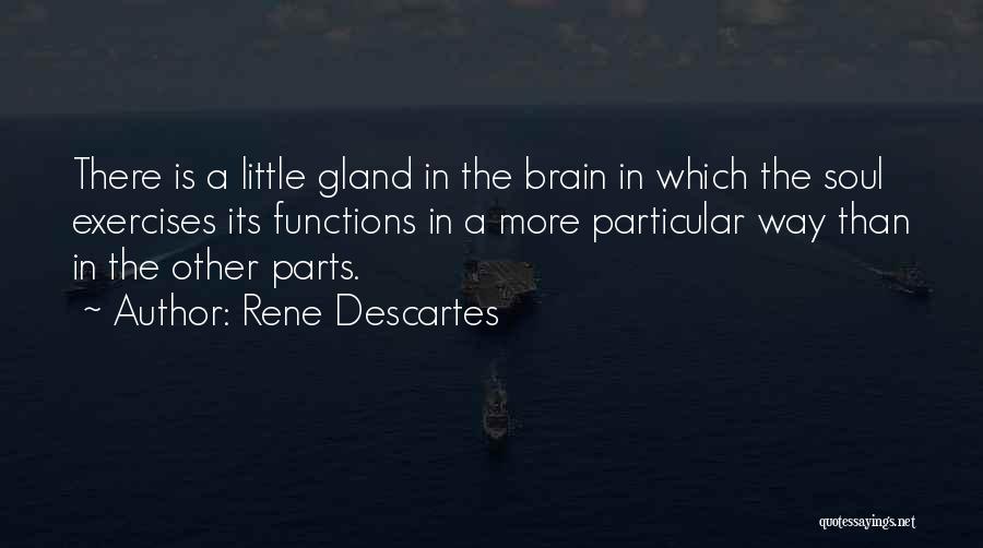 Rene Descartes Quotes 1091315