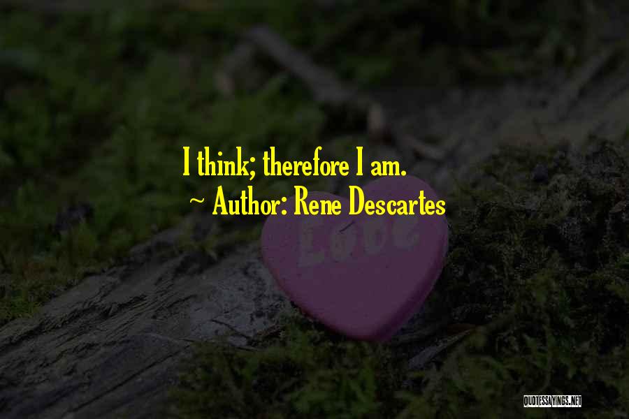 Rene Descartes Quotes 468170