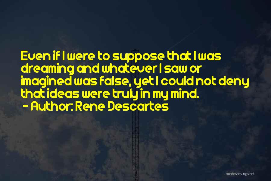 Rene Descartes Quotes 875820