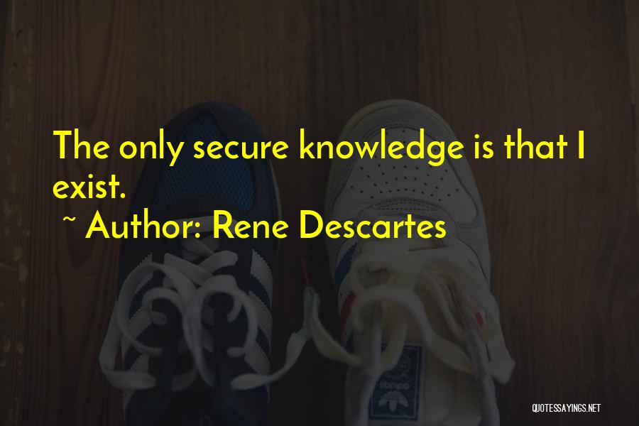 Rene Descartes Quotes 991566