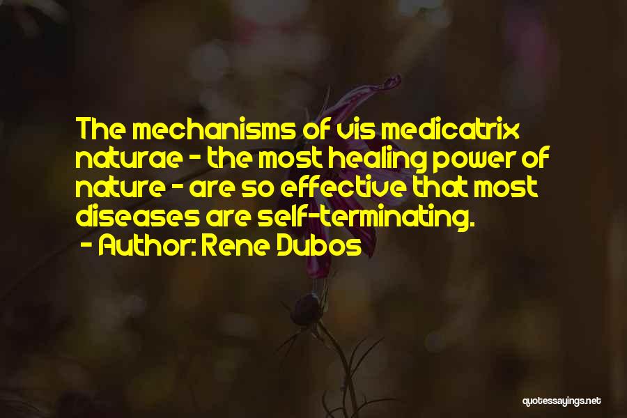 Rene Dubos Quotes 137576