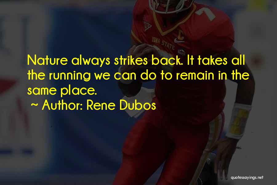 Rene Dubos Quotes 1984304