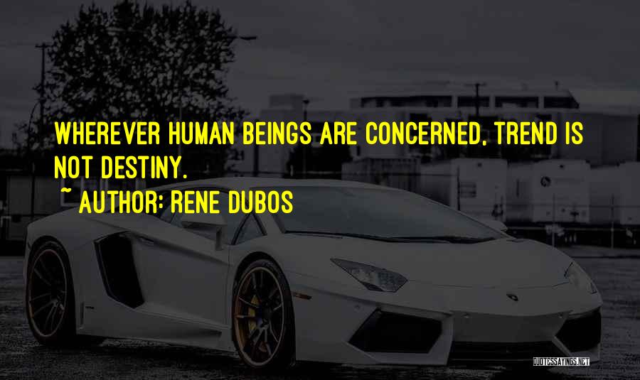 Rene Quotes By Rene Dubos