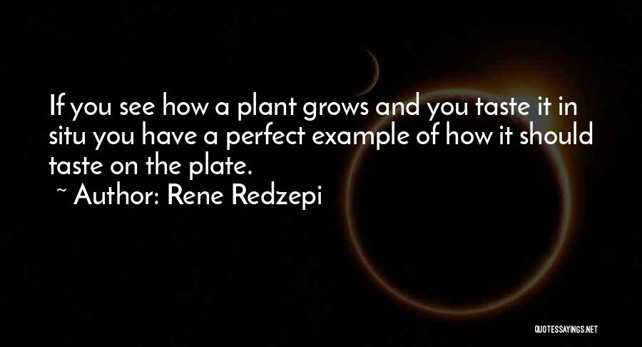 Rene Redzepi Quotes 182852