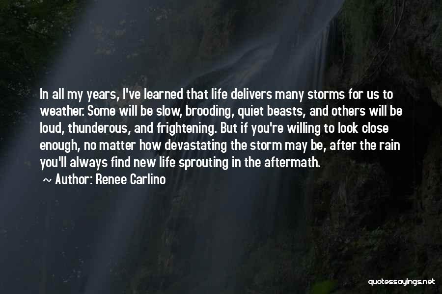 Renee Carlino Quotes 620793