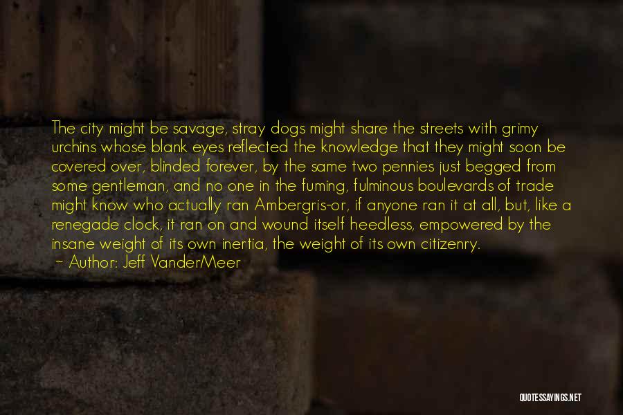 Renegade Best Quotes By Jeff VanderMeer