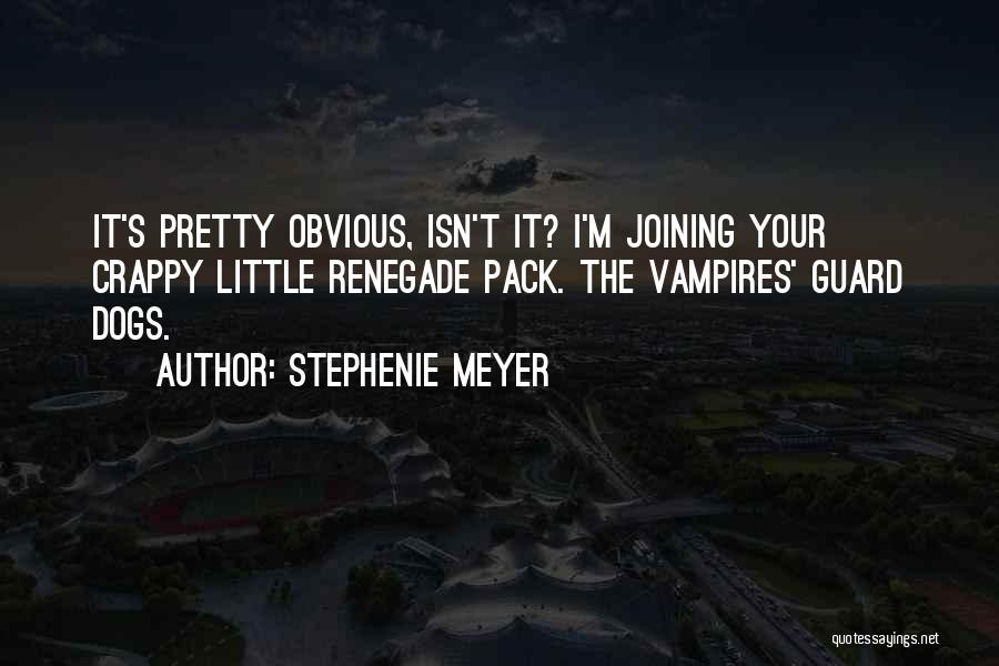 Renegade Quotes By Stephenie Meyer