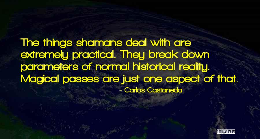 Renegado Significado Quotes By Carlos Castaneda Renegado Significado Quotes By Carlos Castaneda