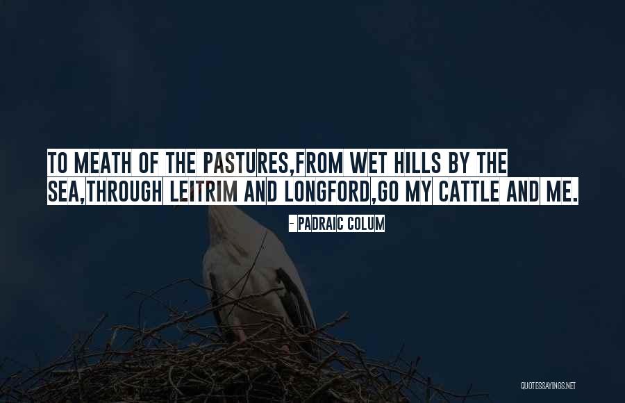 Renelique Pierre Quotes By Padraic Colum Renelique Pierre Quotes By Padraic Colum