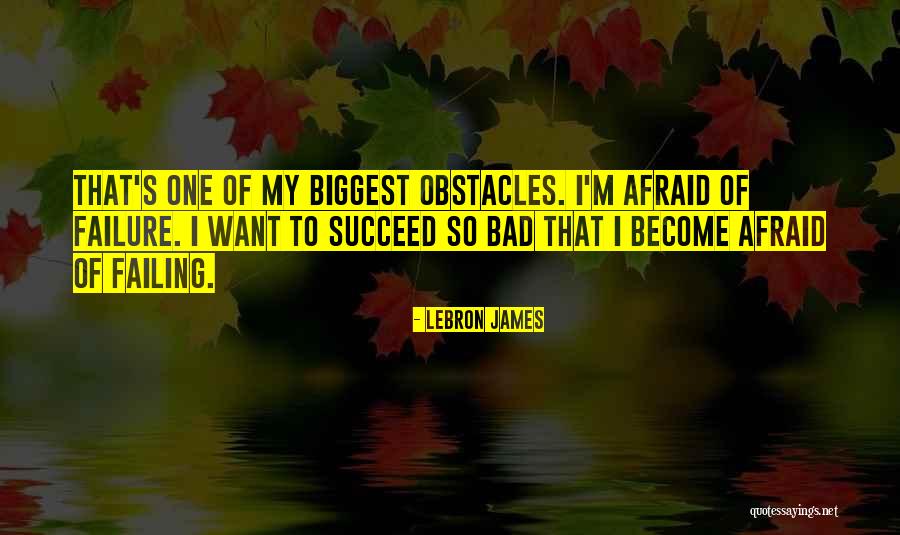 Reneta Johnson Quotes By LeBron James Reneta Johnson Quotes By LeBron James