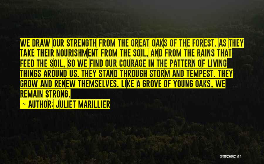 Renew Strength Quotes By Juliet Marillier