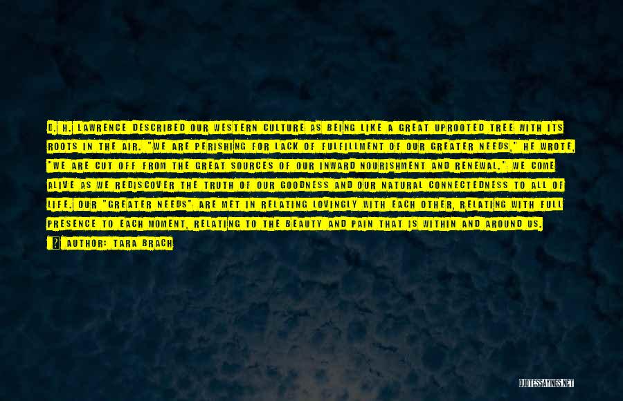 Renewal Of Life Quotes By Tara Brach Renewal Of Life Quotes By Tara Brach