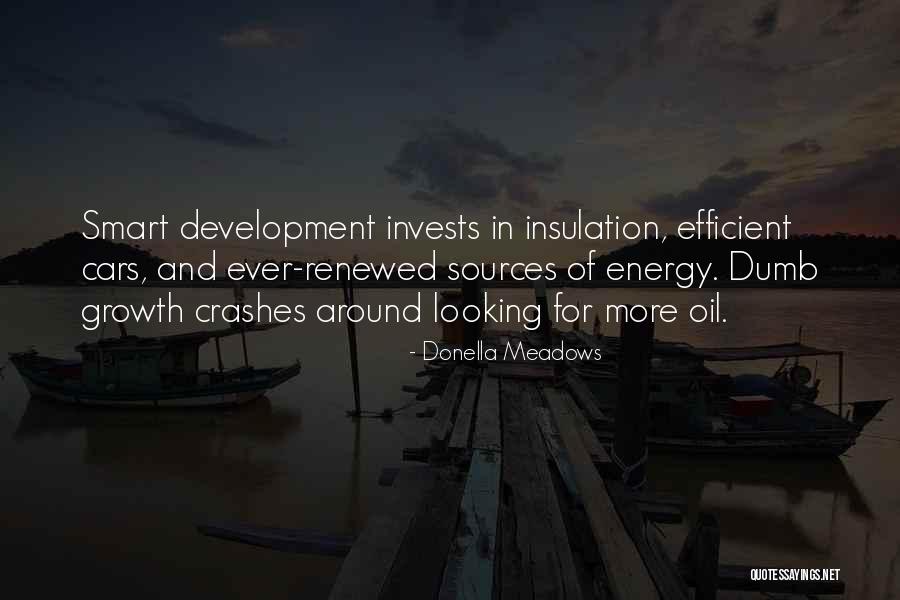 Renewed Quotes By Donella Meadows Renewed Quotes By Donella Meadows