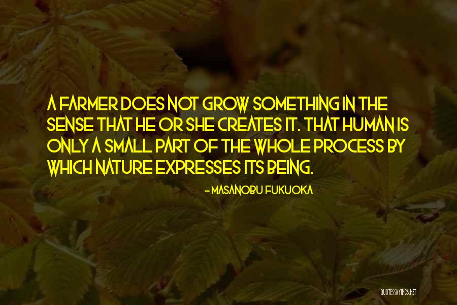 Rengifo Paints Quotes By Masanobu Fukuoka Rengifo Paints Quotes By Masanobu Fukuoka