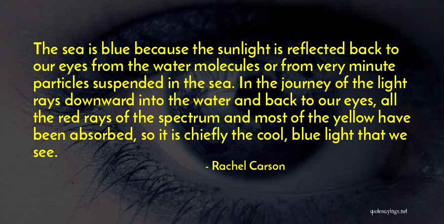 Rengin Quotes By Rachel Carson Rengin Quotes By Rachel Carson
