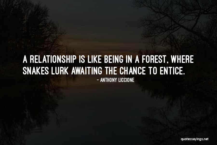 Renkli Toplar Quotes By Anthony Liccione Renkli Toplar Quotes By Anthony Liccione