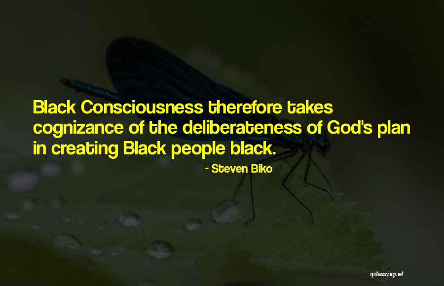Renny Santone Quotes By Steven Biko Renny Santone Quotes By Steven Biko