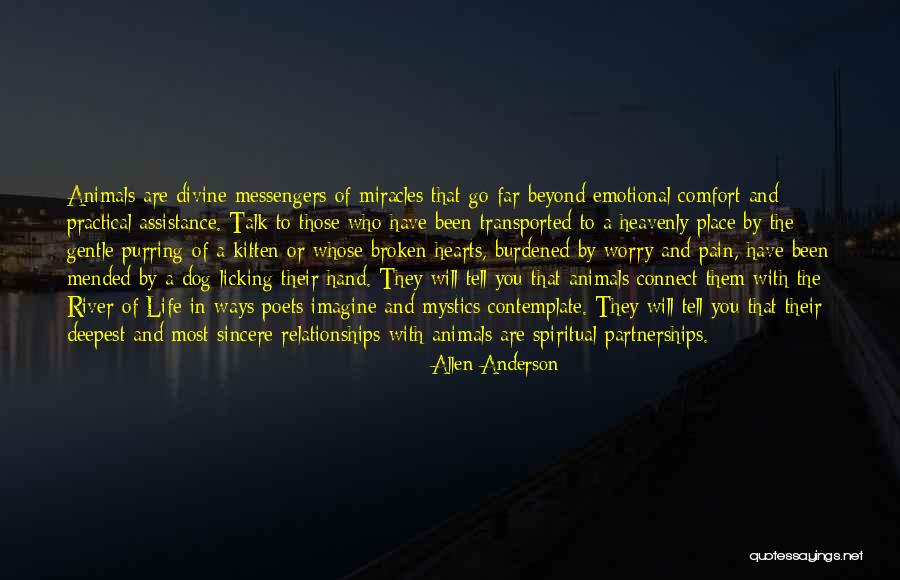 Renovador Significado Quotes By Allen Anderson Renovador Significado Quotes By Allen Anderson