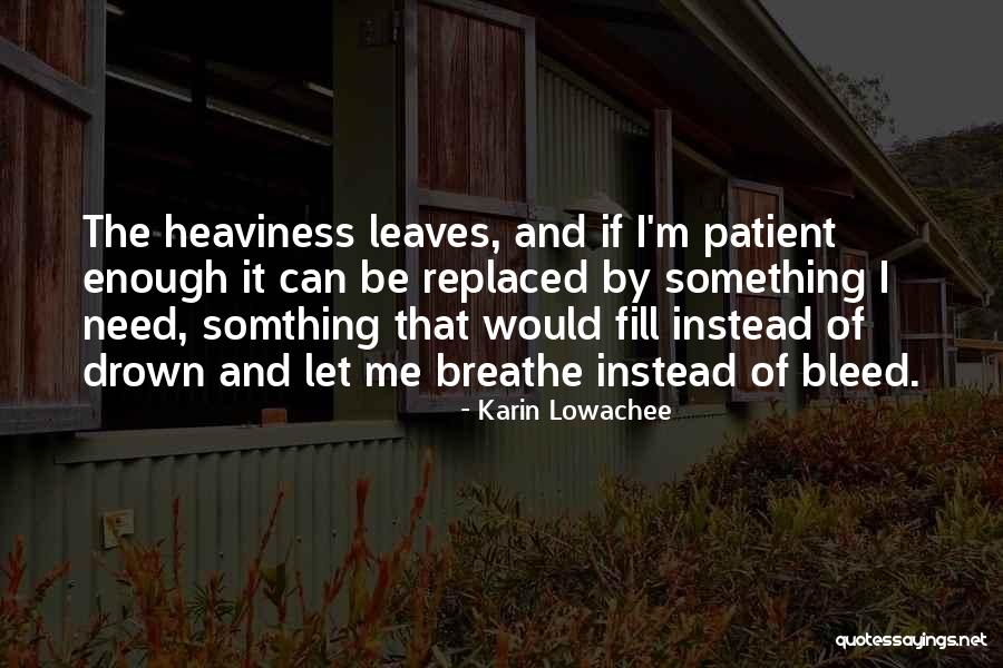 Renovame Quotes By Karin Lowachee Renovame Quotes By Karin Lowachee