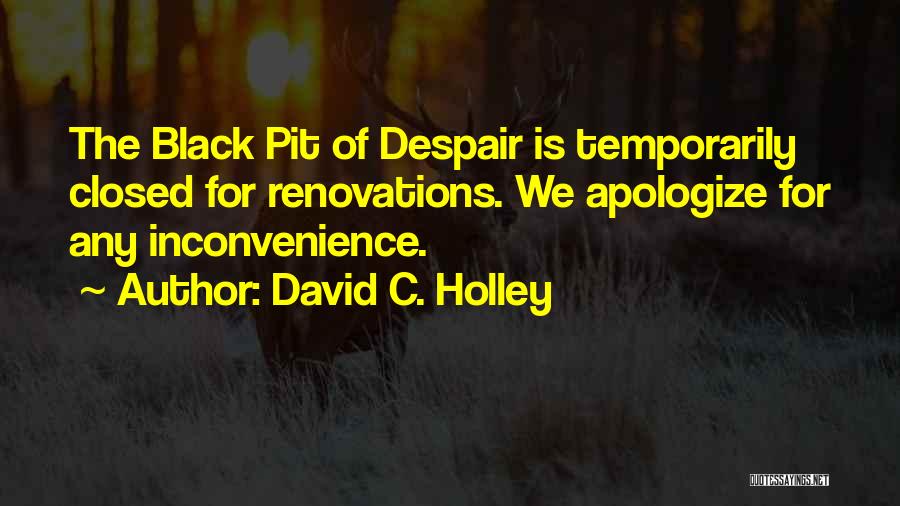 Renovations Quotes By David C. Holley