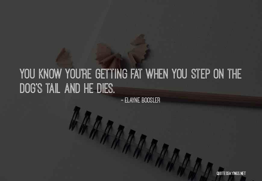 Renshiki Quotes By Elayne Boosler Renshiki Quotes By Elayne Boosler