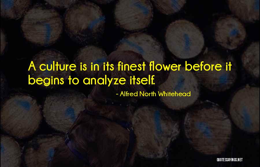Rentabiliser En Quotes By Alfred North Whitehead Rentabiliser En Quotes By Alfred North Whitehead
