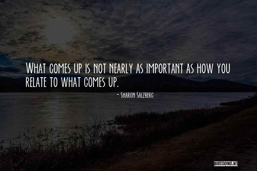 Renuka Bhatt Quotes By Sharon Salzberg Renuka Bhatt Quotes By Sharon Salzberg