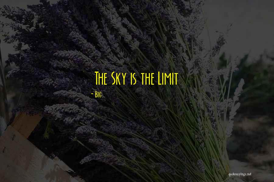 Renuka Kavitha Quotes By Big Renuka Kavitha Quotes By Big