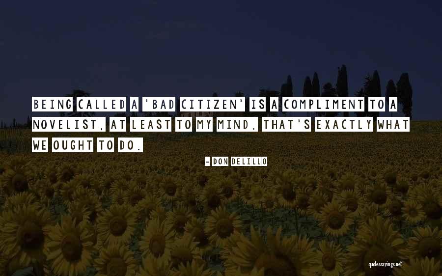 Renzis Bridesburg Quotes By Don DeLillo Renzis Bridesburg Quotes By Don DeLillo