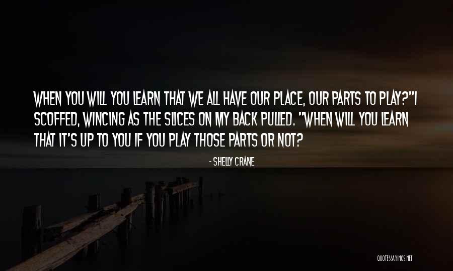 Reolink Argus Quotes By Shelly Crane Reolink Argus Quotes By Shelly Crane