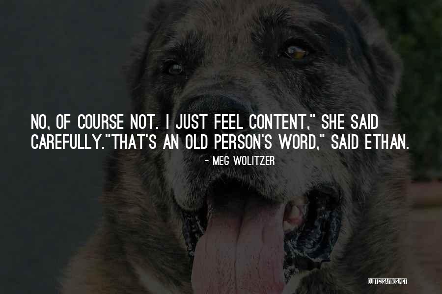 Reolink Client Quotes By Meg Wolitzer Reolink Client Quotes By Meg Wolitzer