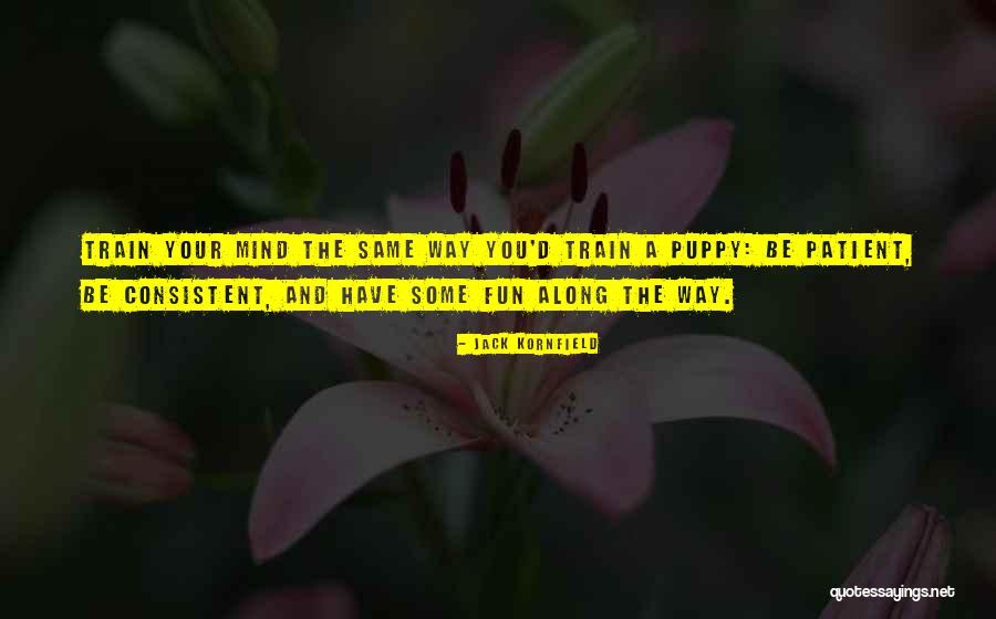 Reparierter Quotes By Jack Kornfield Reparierter Quotes By Jack Kornfield