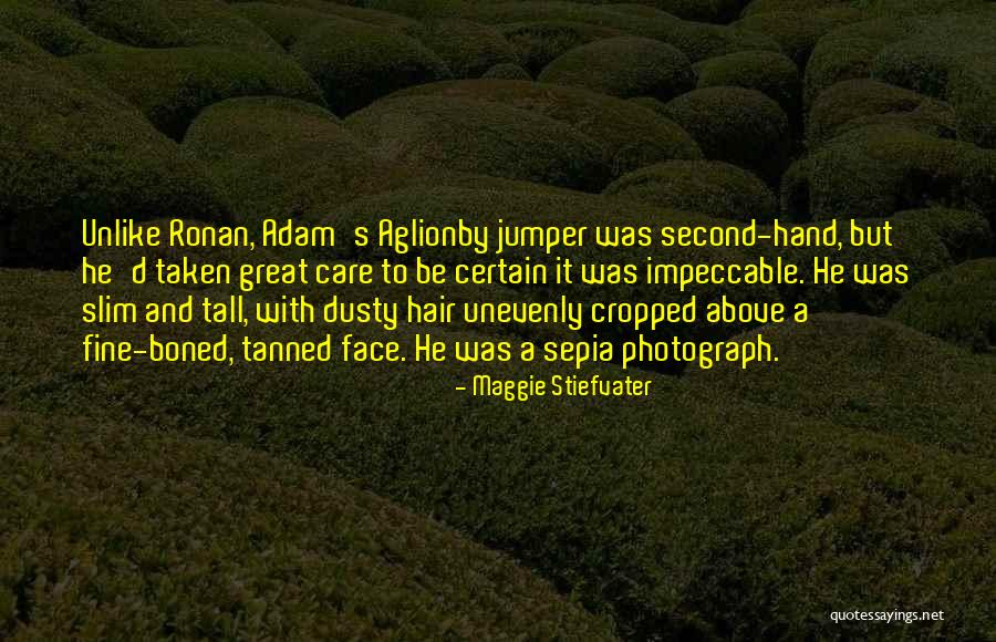 Repeals Quotes By Maggie Stiefvater Repeals Quotes By Maggie Stiefvater