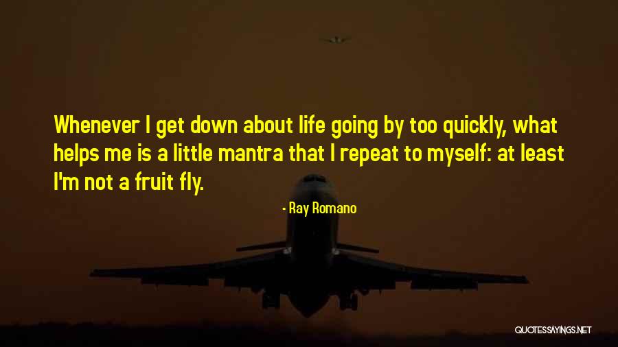 Repeat What Quotes By Ray Romano Repeat What Quotes By Ray Romano