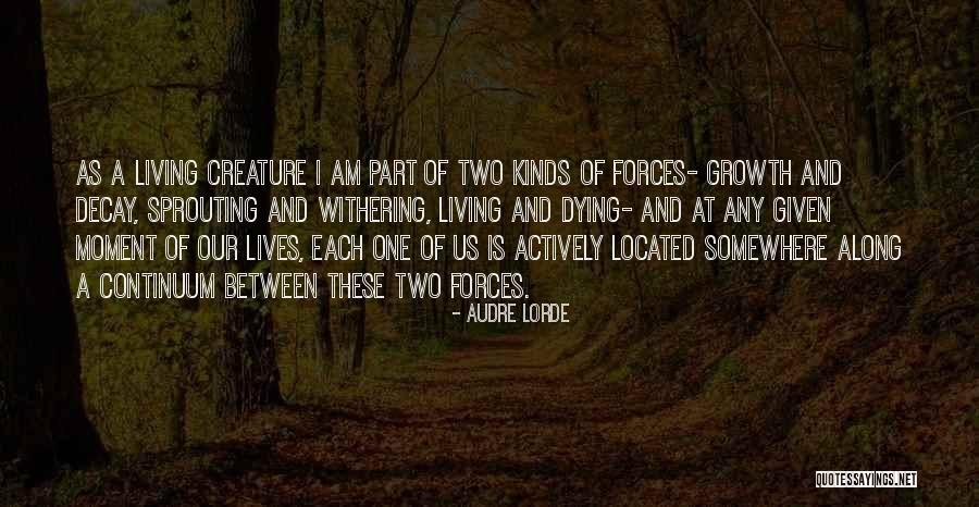 Repeating Champion Quotes By Audre Lorde Repeating Champion Quotes By Audre Lorde