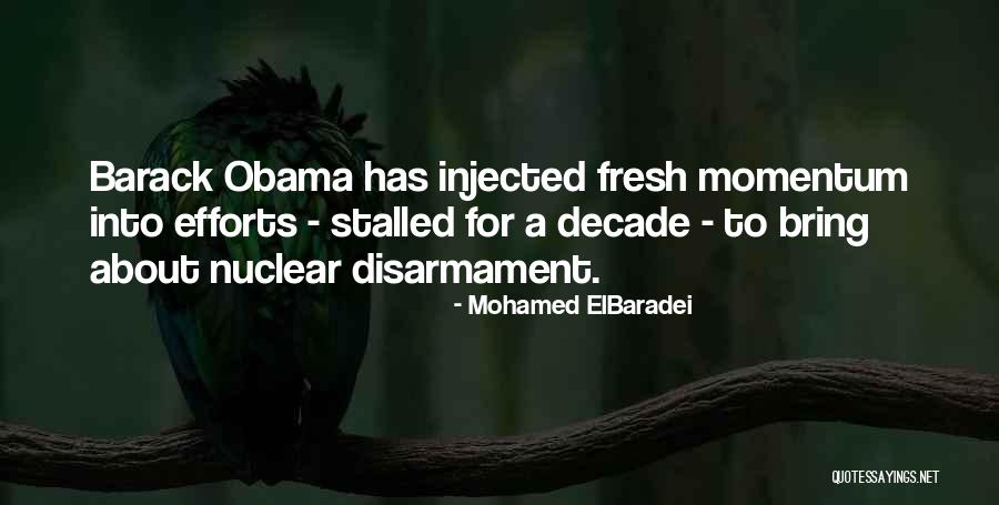Repelling Raccoons Quotes By Mohamed ElBaradei Repelling Raccoons Quotes By Mohamed ElBaradei