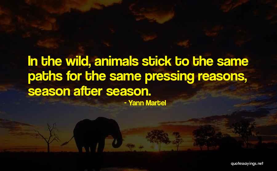 Repetidamente In English Quotes By Yann Martel Repetidamente In English Quotes By Yann Martel