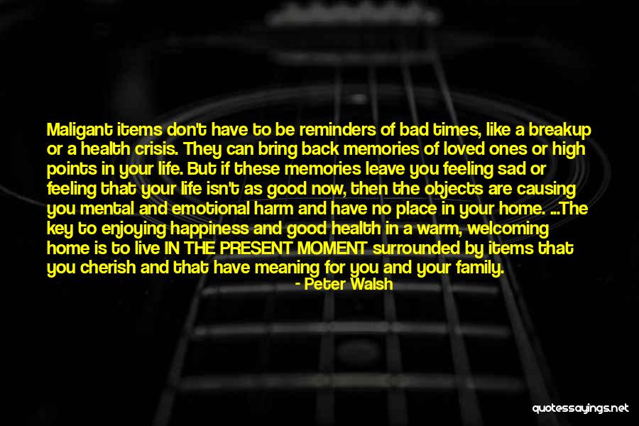 Replaying Memories Quotes By Peter Walsh Replaying Memories Quotes By Peter Walsh