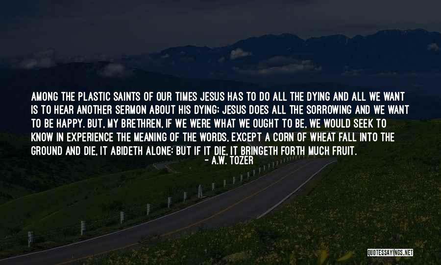Replaying Snap Quotes By A.W. Tozer Replaying Snap Quotes By A.W. Tozer