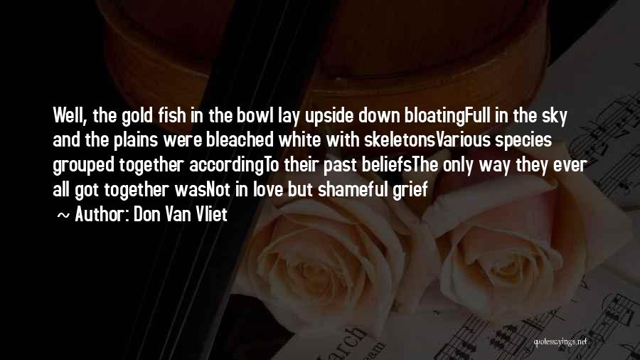 Replica Quotes By Don Van Vliet