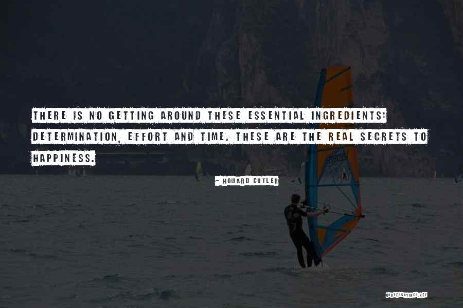 Repliegue Significado Quotes By Howard Cutler Repliegue Significado Quotes By Howard Cutler