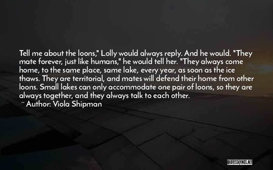 Reply Me Quotes By Viola Shipman