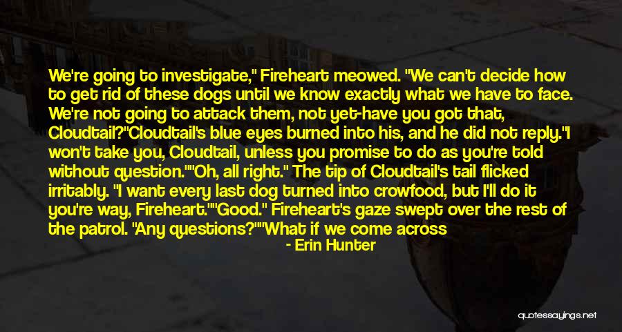 Reply To All Quotes By Erin Hunter